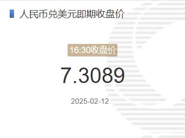 2月12日人民币兑美元即期收盘价报7.3089 较上一交易日下调28个基点